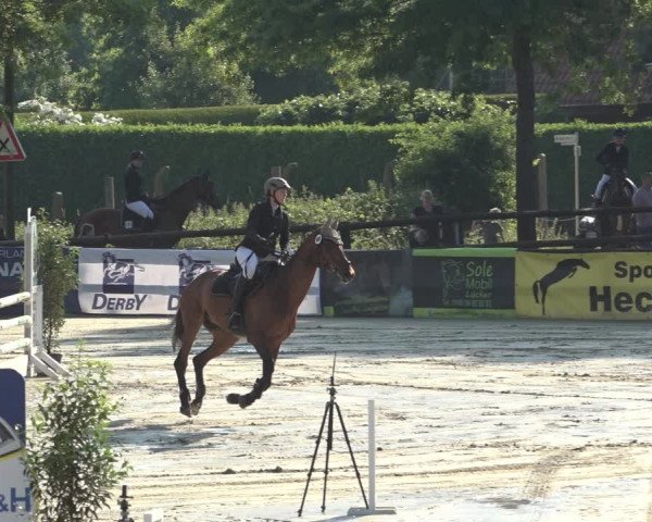 Reitturnier Ochtrup 2023
