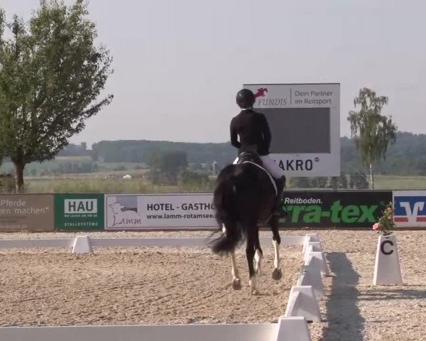 Reitturnier Rot am See- Musdorf 2023