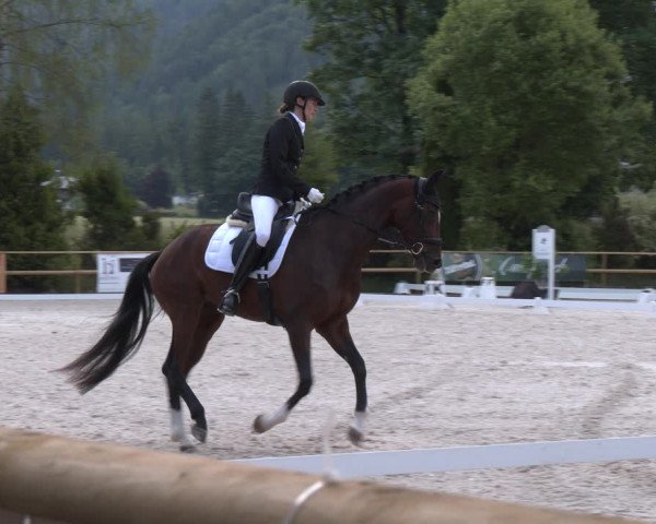 Reitturnier St. Ulrich am Pillersee 2023