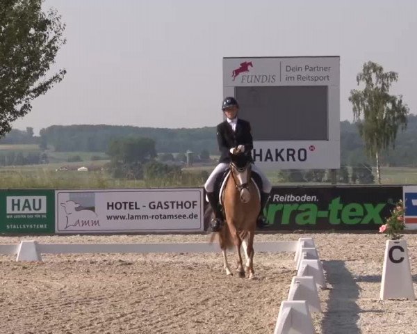 Reitturnier Rot am See- Musdorf 2023
