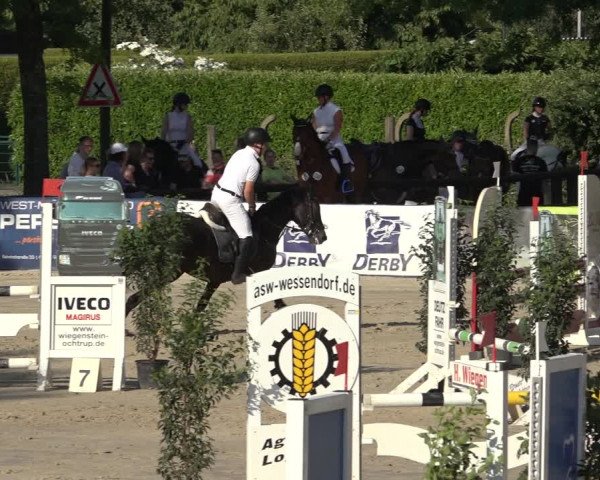 Reitturnier Ochtrup 2023