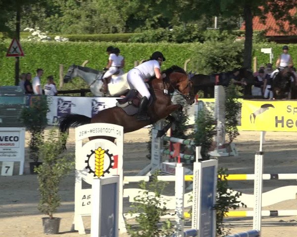 Reitturnier Ochtrup 2023
