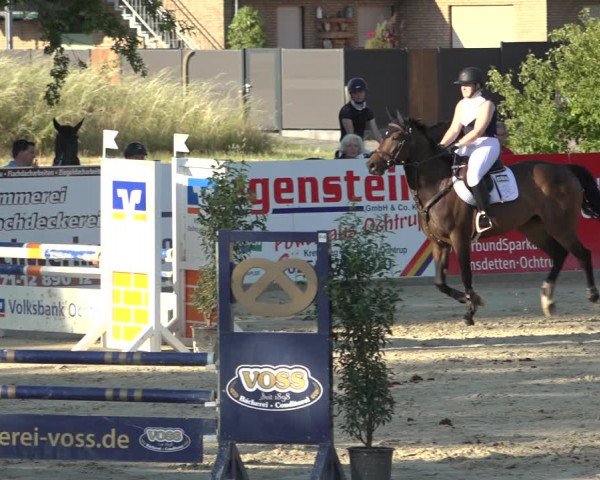 Reitturnier Ochtrup 2023