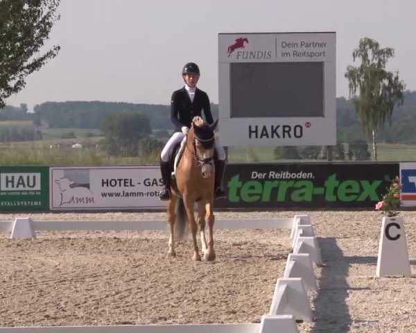 Reitturnier Rot am See- Musdorf 2023