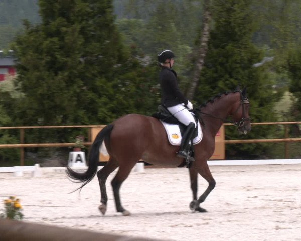 Reitturnier St. Ulrich am Pillersee 2023