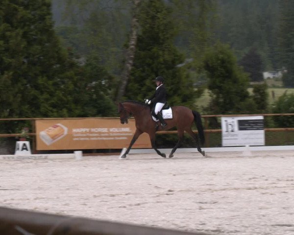 Reitturnier St. Ulrich am Pillersee 2023