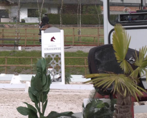Reitturnier St. Ulrich am Pillersee 2023