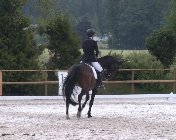 Reitturnier St. Ulrich am Pillersee 2023