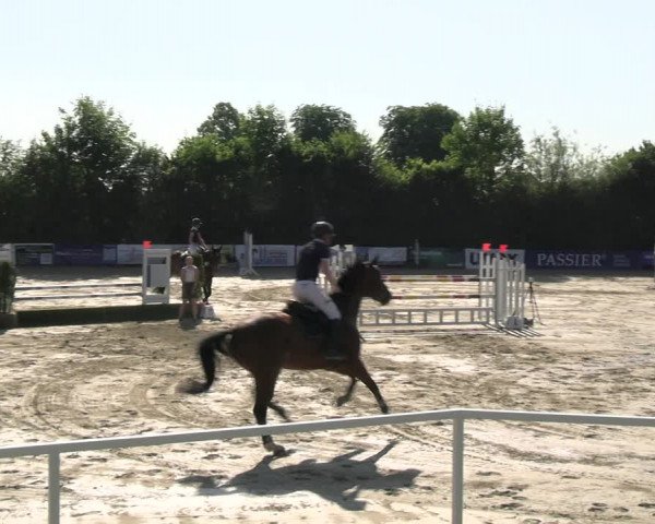 Reitturnier Fröndenberg 2023