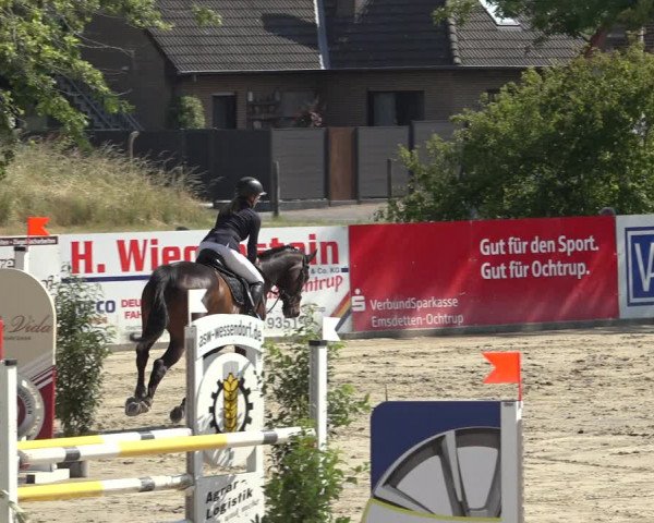 Reitturnier Ochtrup 2023