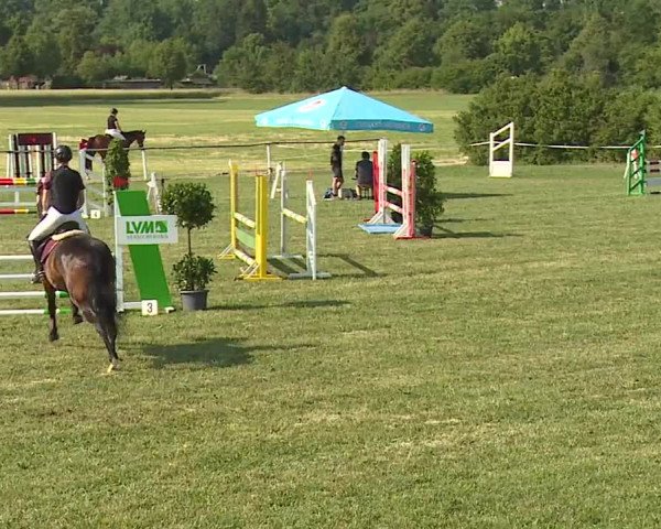 Reitturnier Bad Windsheim/Mfr. 2023