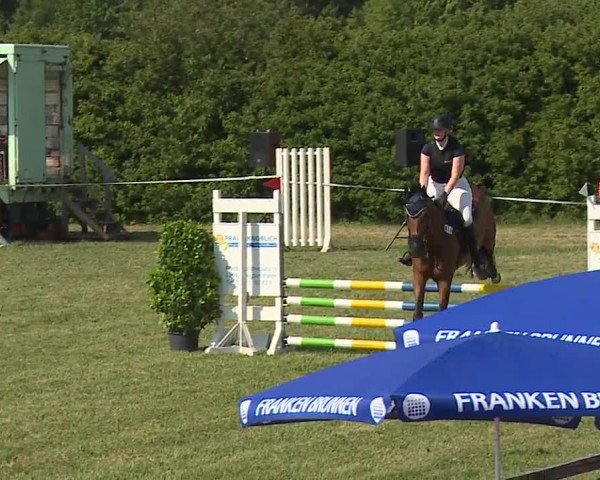 Reitturnier Bad Windsheim/Mfr. 2023