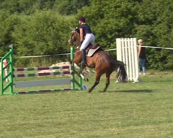 Reitturnier Bad Windsheim/Mfr. 2023