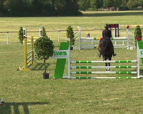 Reitturnier Bad Windsheim/Mfr. 2023