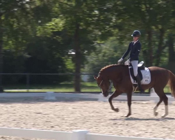 Reitturnier Rot am See- Musdorf 2023