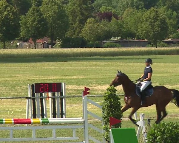 Reitturnier Bad Windsheim/Mfr. 2023