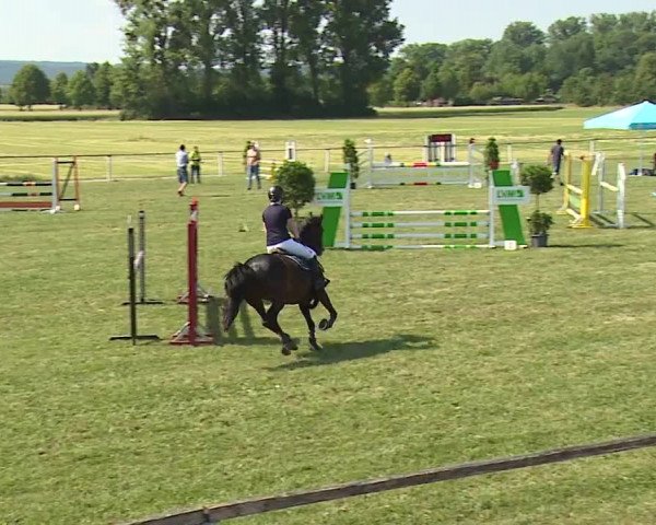 Reitturnier Bad Windsheim/Mfr. 2023