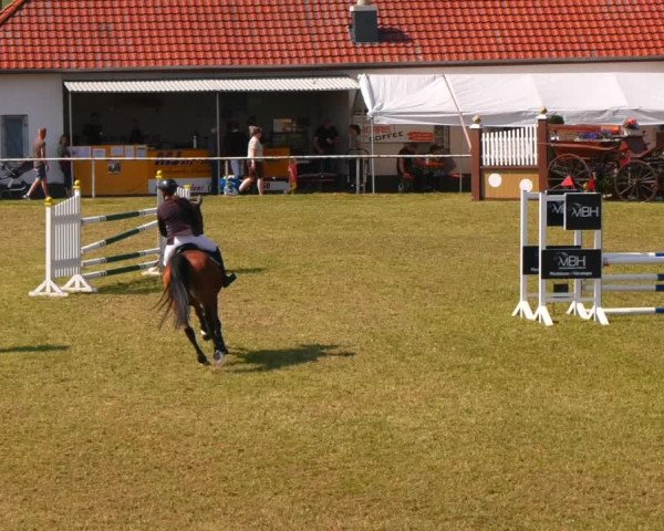 Reitturnier Wingerode 2023
