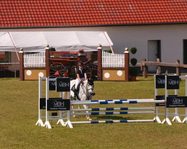 Reitturnier Wingerode 2023