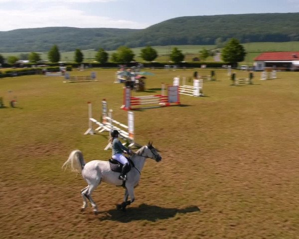 Reitturnier Wingerode 2023