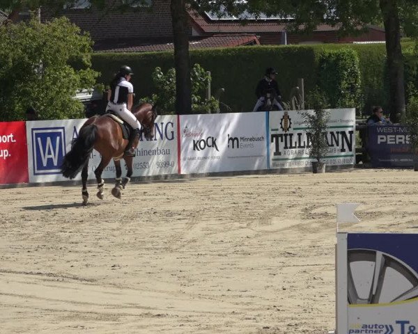 Reitturnier Ochtrup 2023