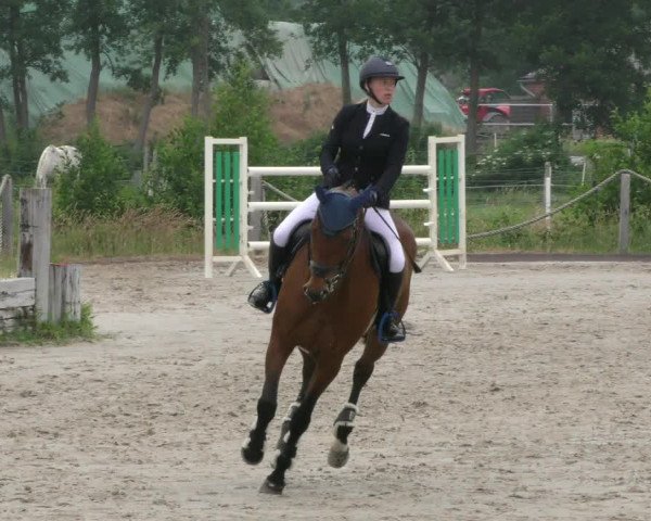 Reitturnier Handorf 2023