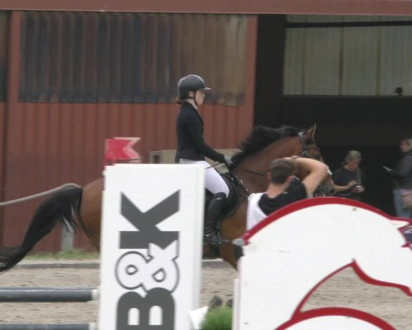 Reitturnier Handorf 2023