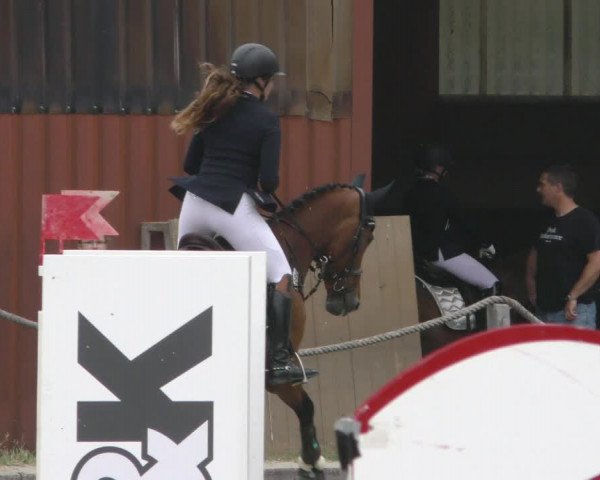 Reitturnier Handorf 2023