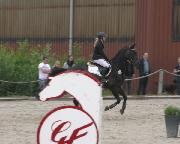 Reitturnier Handorf 2023