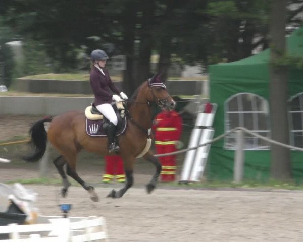 Reitturnier Handorf 2023