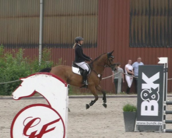 Reitturnier Handorf 2023