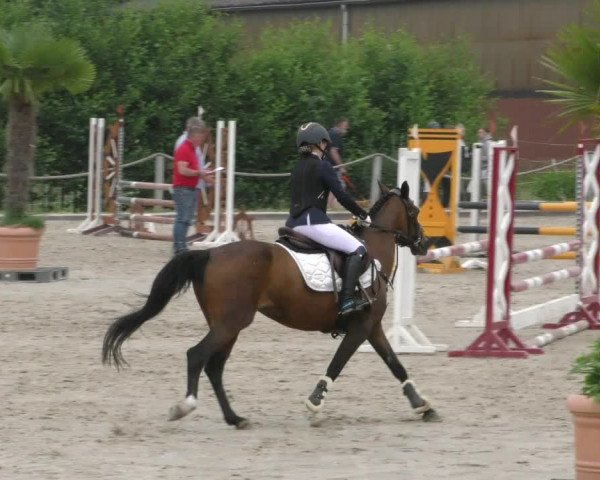 Reitturnier Handorf 2023