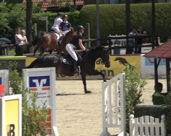 Reitturnier Ochtrup 2023