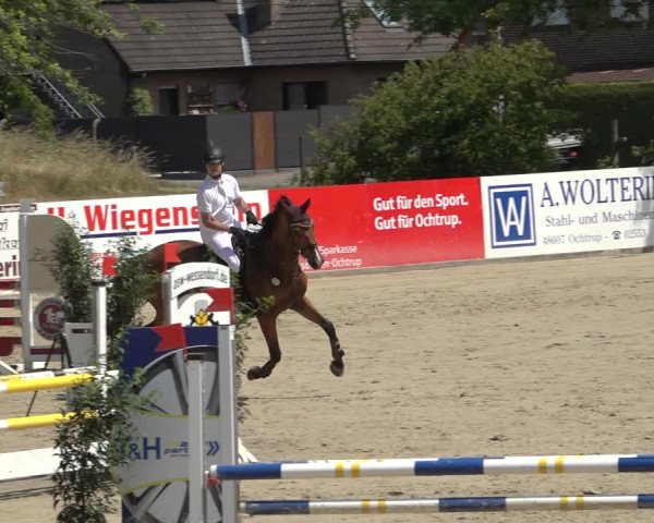 Reitturnier Ochtrup 2023