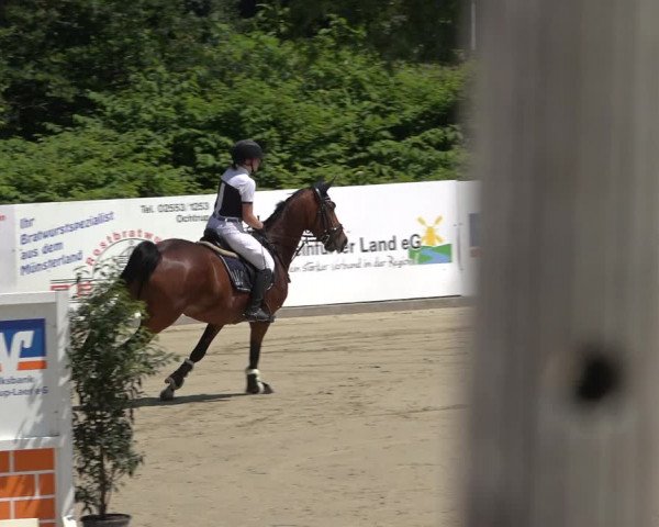 Reitturnier Ochtrup 2023