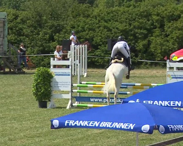 Reitturnier Bad Windsheim/Mfr. 2023