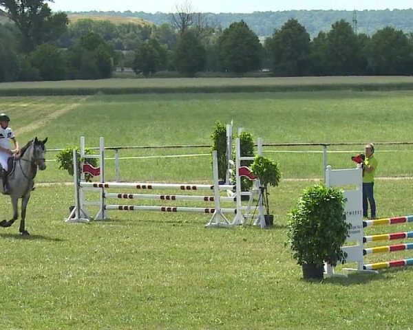 Reitturnier Bad Windsheim/Mfr. 2023