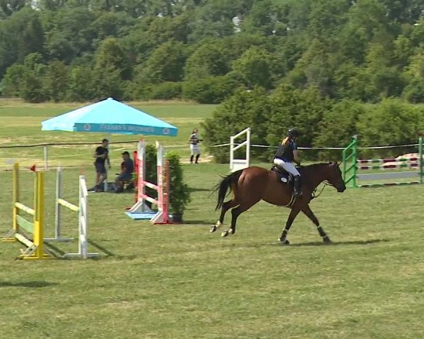 Reitturnier Bad Windsheim/Mfr. 2023