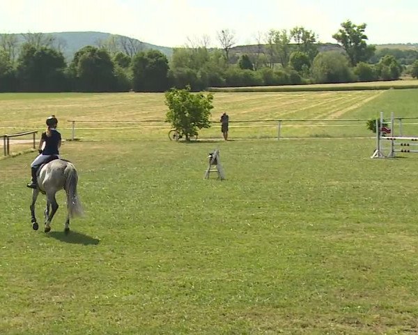Reitturnier Bad Windsheim/Mfr. 2023