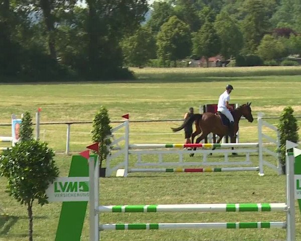 Reitturnier Bad Windsheim/Mfr. 2023