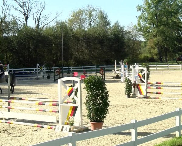 Reitturnier Isny-Rohrdorf 2021