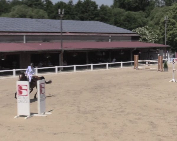 Reitturnier Oberkaufungen 2023