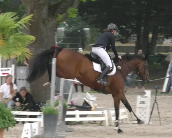 Reitturnier Handorf 2023