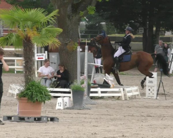 Reitturnier Handorf 2023