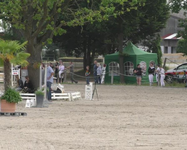 Reitturnier Handorf 2023