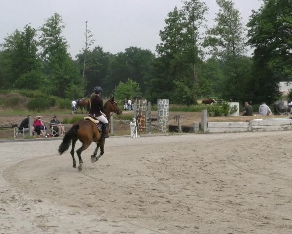 Reitturnier Handorf 2023