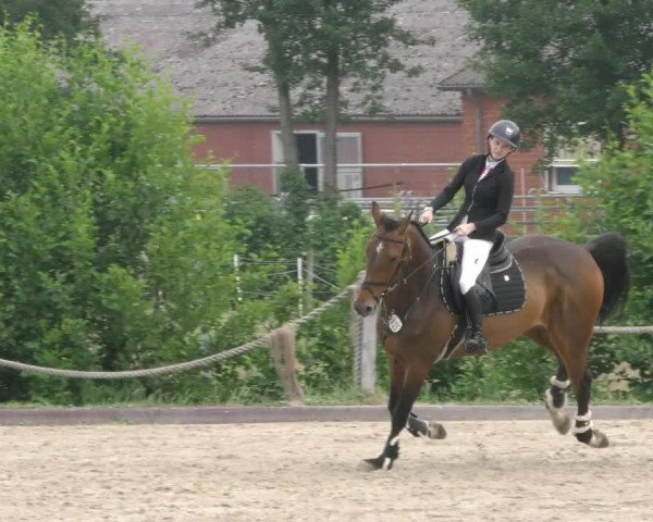 Reitturnier Handorf 2023