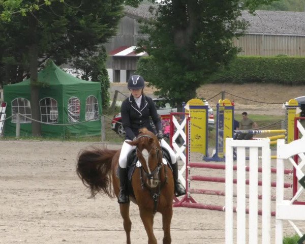 Reitturnier Handorf 2023