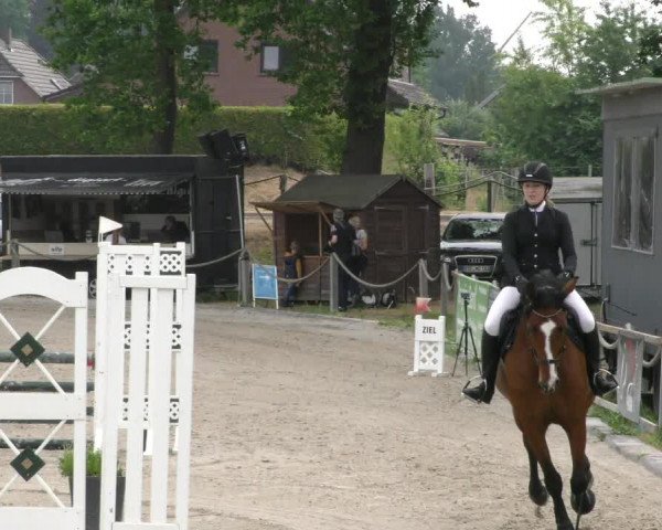 Reitturnier Handorf 2023