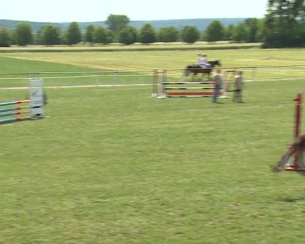 Reitturnier Bad Windsheim/Mfr. 2023